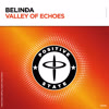 Belinda - Valley Of Echoes [Positive State Records]