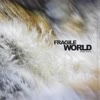 Paddy Thorne - Fragile World [Mighty Force]