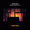 Peter Pauz - Freunde Der Nacht [Plastic Toys Music]