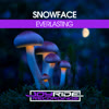 Snowface - Everlasting [Joyride Recordings]